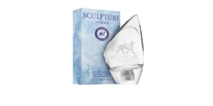Sculpture Homme