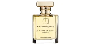 2 Nawab Of Oudh Intensivo