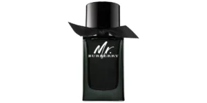 Mr. Burberry