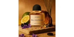 Bal d'Afrique Absolu
