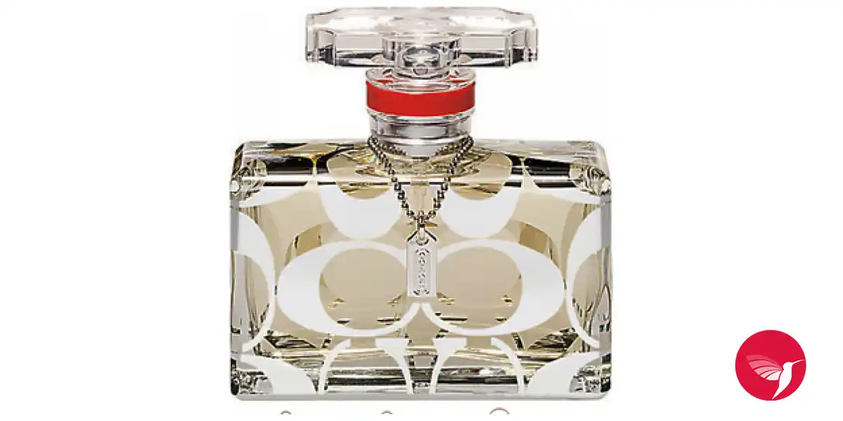 Coach (2007) fragrance