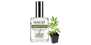 Cannabis Flower
