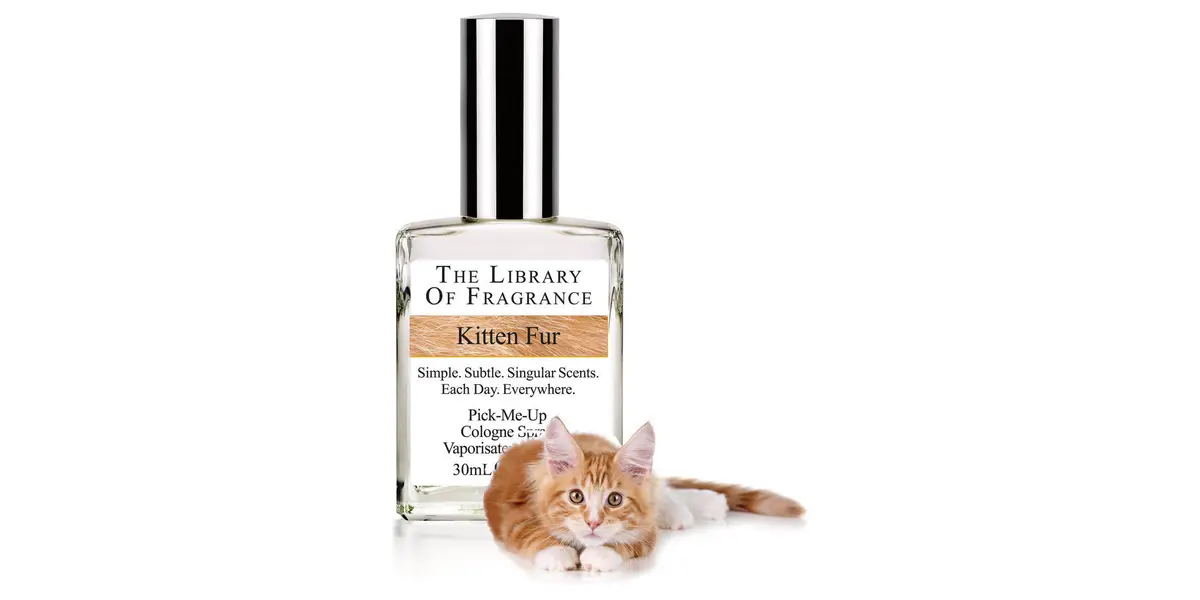 Kitten Fur fragrance