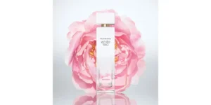White Tea Wild Rose