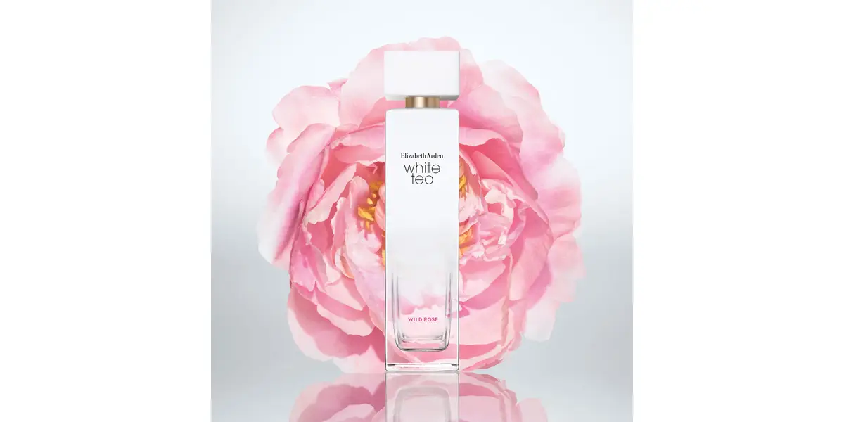 White Tea Wild Rose fragrance
