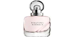 Beautiful Magnolia