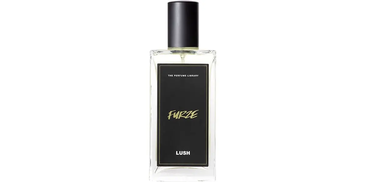Furze fragrance