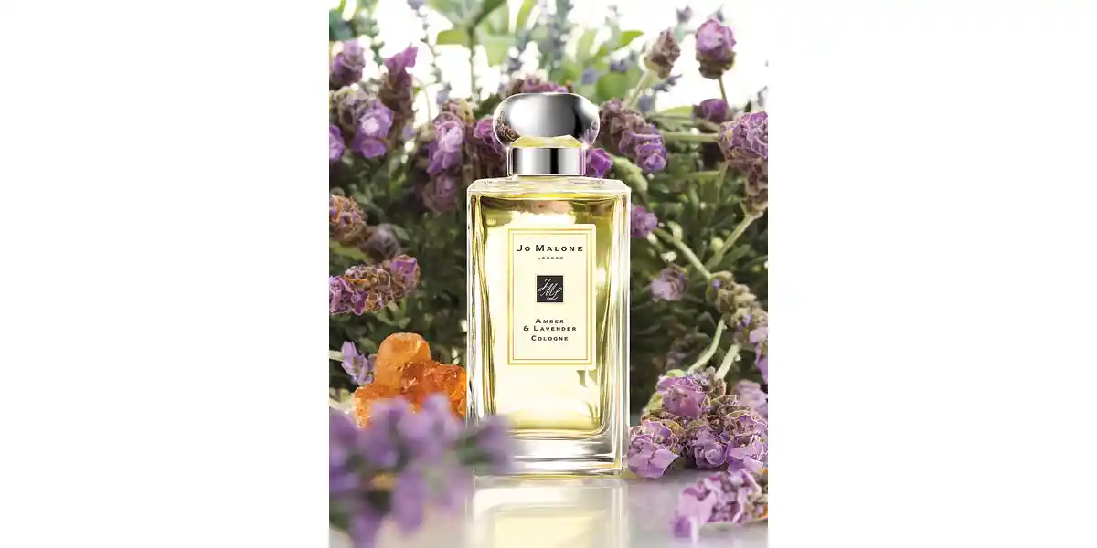 Amber & Lavender fragrance