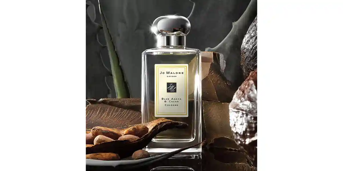 Blue Agava & Cacao fragrance