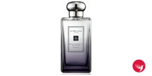 Jo Malone London Rain Black Cedarwood & Juniper