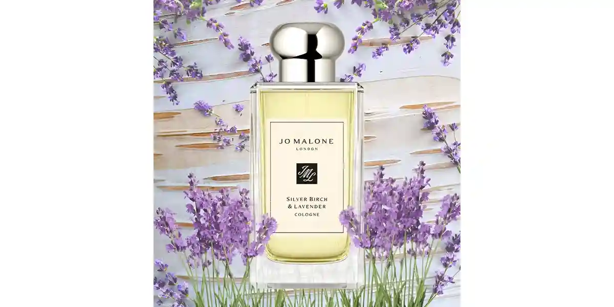 Silver Birch & Lavender Cologne fragrance