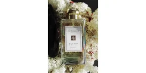 Jo Malone London White Moss & Snowdrop