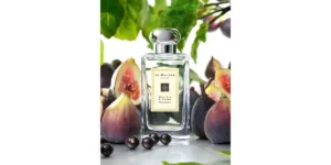 Wild Fig & Cassis