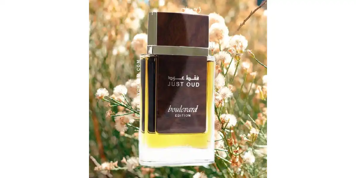 Lattafa Just Oud Boulevard fragrance