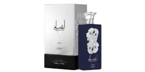 Ansaam Silver
