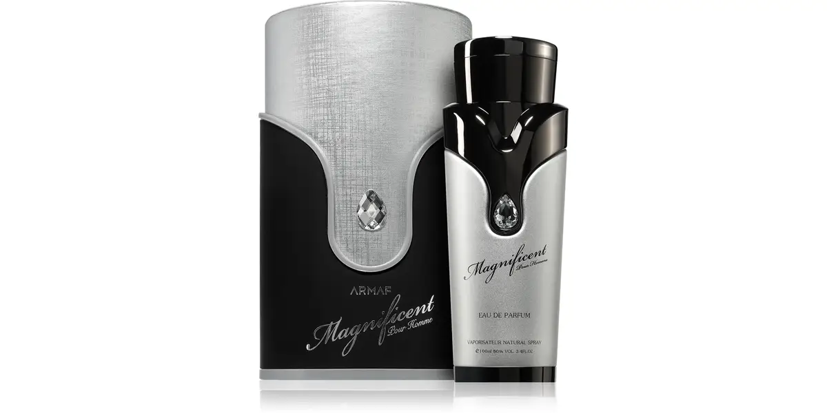 Magnificent Pour Homme fragrance