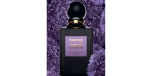 Ombre de Hyacinth