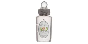 Elisabethan Rose (Vintage)