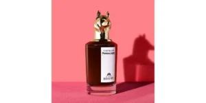 The Coveted Duchess Rose