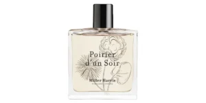 Poirier d'un Soir