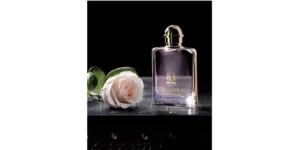 Delicate Rose